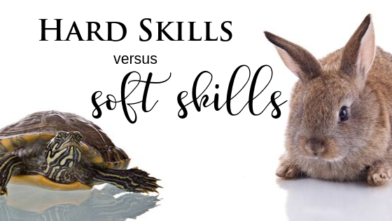 Hard and Soft Skills in Business Coaching